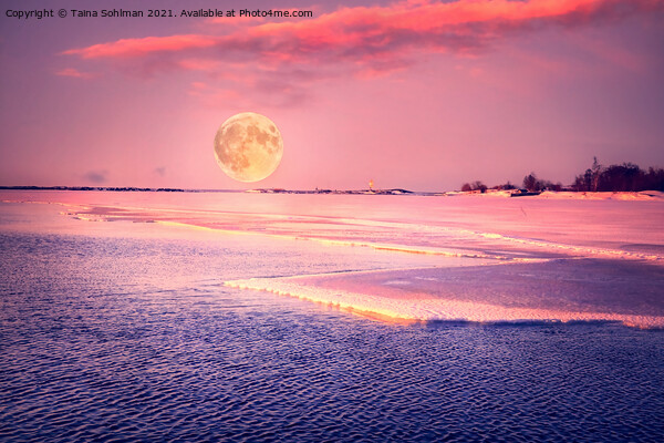 Pink March Moonrise over Sea Picture Board by Taina Sohlman