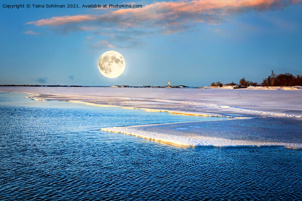 Full Moon Magic over Springtime Sea Picture Board by Taina Sohlman