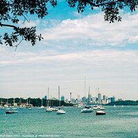 Buy canvas prints of Sydney Harbour view from Watsons Bay with central business district of Sydney in the distance, New South Wales, Australia by Mehul Patel