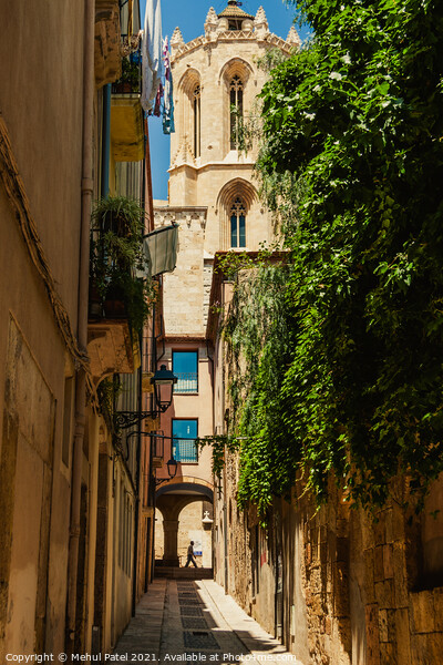 Santa Tecla street leading to the side of the cathedral in Tarragona Picture Board by Mehul Patel
