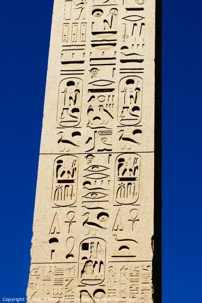 Close-up of the Flaminio Obelisk (Italian: Obelisco Flaminio) Picture Board by Mehul Patel