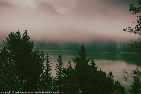 Misty morning in the Rocky Mountains - Alberta, Canada Picture Board by Mehul Patel
