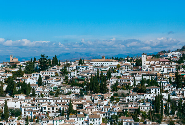 High shot of the Arab quarter (el Albaicin) of the town of Granada, Spain Picture Board by Mehul Patel