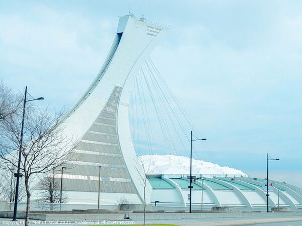 Montreal Tower and Olympic Park - Montreal, Canada Picture Board by Mehul Patel