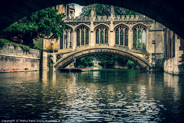Punting on the River Cam by the Bridge of Sighs at St John's College Picture Board by Mehul Patel