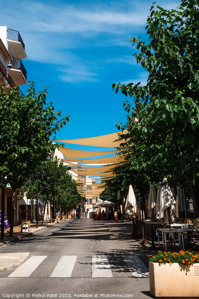 Canopied and tree-lined street in the old town of Mahon, Spain - Picture Board by Mehul Patel