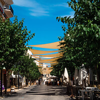 Buy canvas prints of Canopied and tree-lined street in the old town of Mahon, Spain - by Mehul Patel