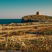Buy canvas prints of Towers on the coast of Cala Alcaufar on island of Menorca, Spain by Mehul Patel
