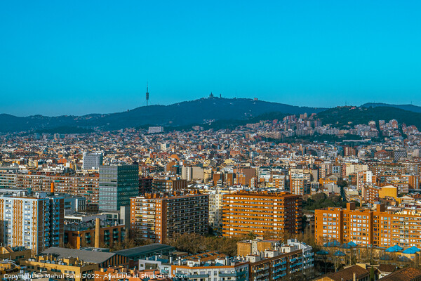 Barcelona city urbanscape looking towards hillside of Tibidabo and the Torre de Collserola, Barcelona, Catalonia, Spain Picture Board by Mehul Patel