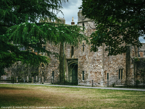 Bishop's Palace gatehouse, Wells, Somerset Picture Board by Mehul Patel