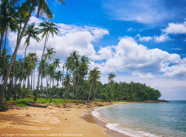 Unspoilt beachfront on Ko Lanta island - Thailand Picture Board by Mehul Patel