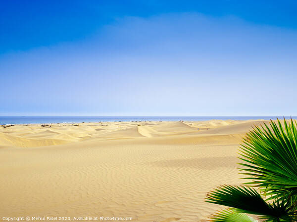 Dunas de Maspalomas (Sand dunes of Maspalomas), Gran Canaria, Ca Picture Board by Mehul Patel