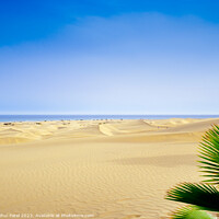 Buy canvas prints of Dunas de Maspalomas (Sand dunes of Maspalomas), Gran Canaria, Ca by Mehul Patel