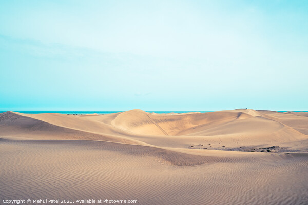 Cool toned image of the Dunas de Maspalomas (Sand dunes of Maspa Picture Board by Mehul Patel