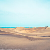 Buy canvas prints of Cool toned image of the Dunas de Maspalomas (Sand dunes of Maspa by Mehul Patel