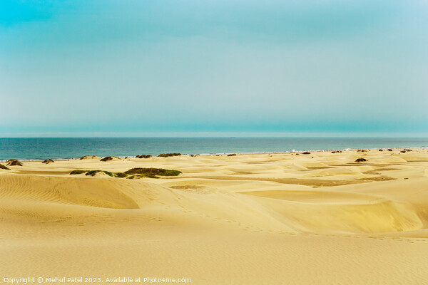 Dunes of Maspalomas, Gran Canaria, Canary Islands, Spain Picture Board by Mehul Patel