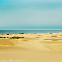 Buy canvas prints of Dunes of Maspalomas, Gran Canaria, Canary Islands, Spain by Mehul Patel