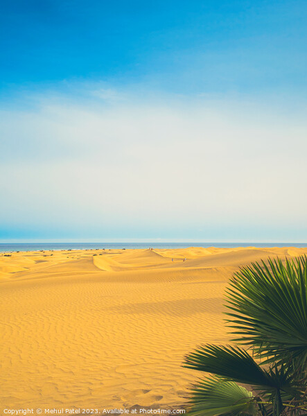 Dunas de Maspalomas (Sand dunes of Maspalomas), Gran Canaria, Ca Picture Board by Mehul Patel