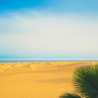 Buy canvas prints of Dunas de Maspalomas (Sand dunes of Maspalomas), Gran Canaria, Ca by Mehul Patel