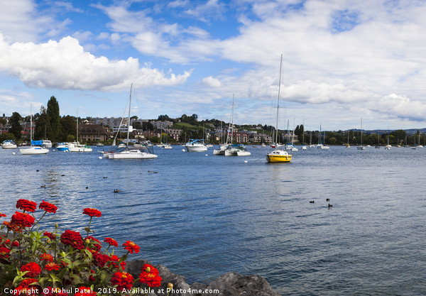 Boats moored on Lake Geneva by the town of Morges, Picture Board by Mehul Patel