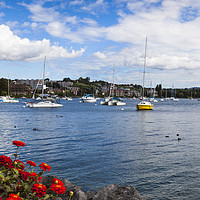 Buy canvas prints of Boats moored on Lake Geneva by the town of Morges, by Mehul Patel