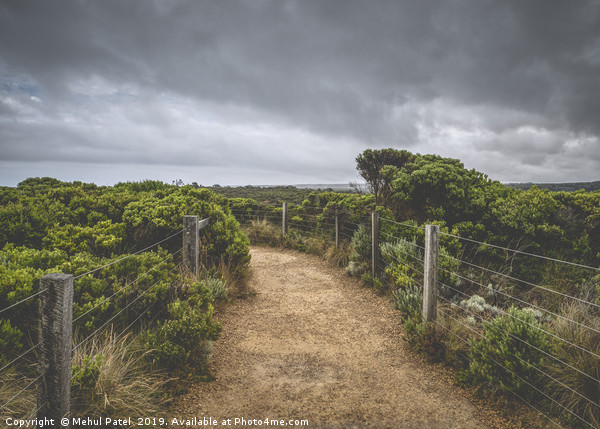 Pathway in national park under cloudy sky Picture Board by Mehul Patel