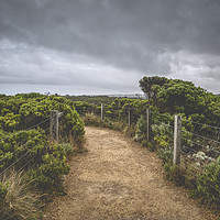 Buy canvas prints of Pathway in national park under cloudy sky by Mehul Patel