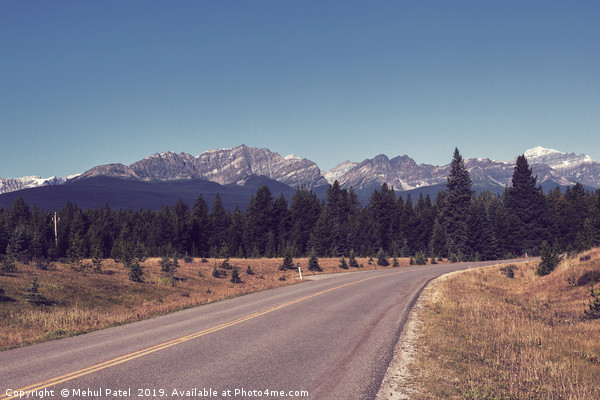 Roadside view - Rocky Mountains Picture Board by Mehul Patel