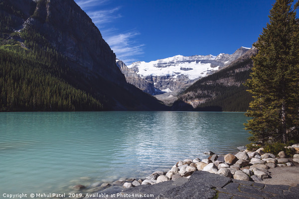 Turquoise coloured waters of Lake Louise, Banff Na Picture Board by Mehul Patel