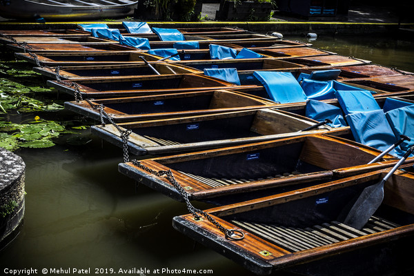 Punting boats parked on the river, river Cam, Camb Picture Board by Mehul Patel