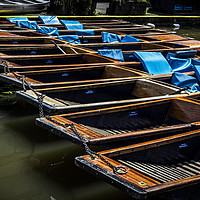 Buy canvas prints of Punting boats parked on the river, river Cam, Camb by Mehul Patel