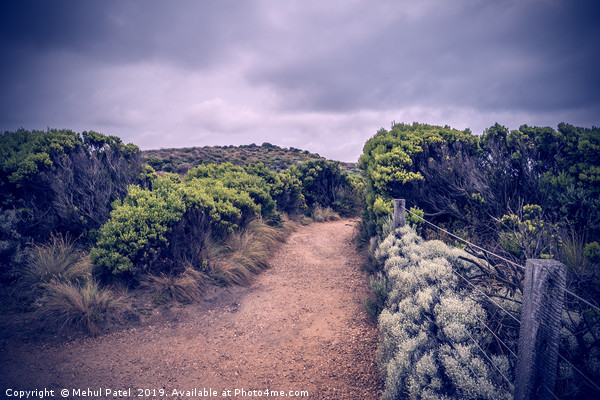 Trail in Port Campbell National Park, Australia Picture Board by Mehul Patel