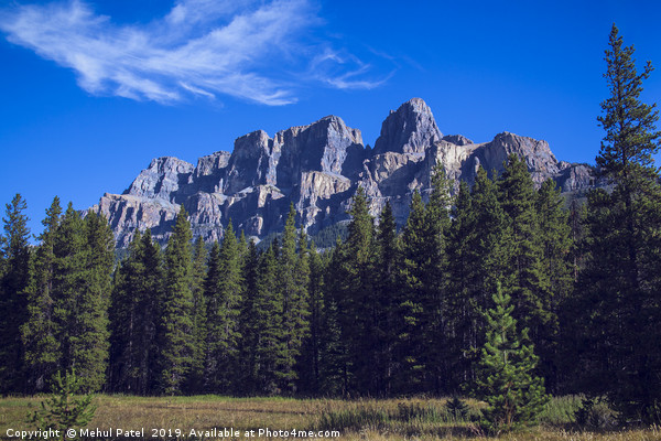 Castle Mountain, Banff National Park - Alberta, Ca Picture Board by Mehul Patel