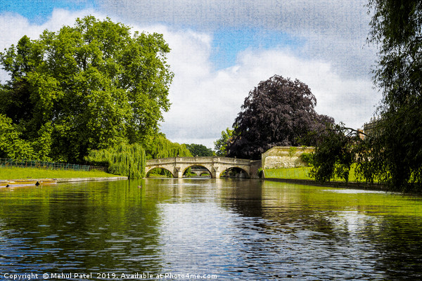 River Cam by The Backs, Cambridge, England, UK Picture Board by Mehul Patel