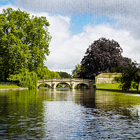 Buy canvas prints of River Cam by The Backs, Cambridge, England, UK by Mehul Patel