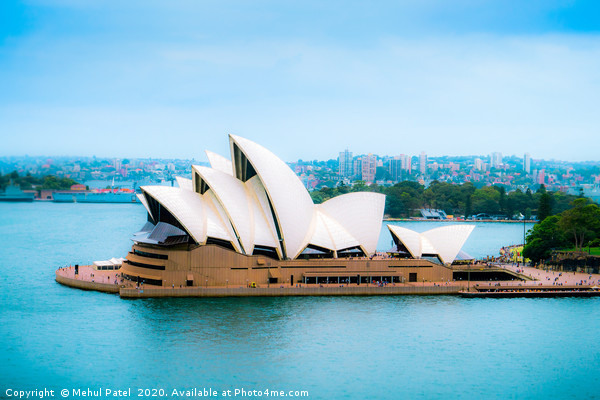 Sydney Opera House, Sydney Harbour, New South Wale Picture Board by Mehul Patel