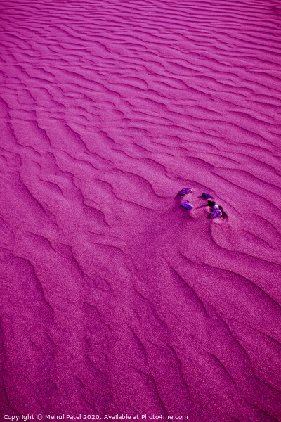 Layers of sand on the dunes of Maspalomas with digital purple filter, Gran Canaria, Canary Islands, Spain Picture Board by Mehul Patel