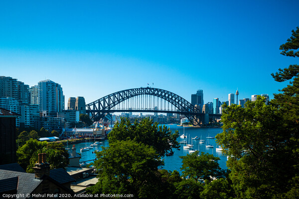 Sydney Harbour cityscape with Harbour Bridge and Central Business District in the distance, Sydney, New South Wales, Australia Picture Board by Mehul Patel