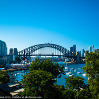 Buy canvas prints of Sydney Harbour cityscape with Harbour Bridge and Central Business District in the distance, Sydney, New South Wales, Australia by Mehul Patel
