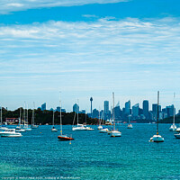 Buy canvas prints of View of Sydney Harbour, New South Wales, Australia by Mehul Patel