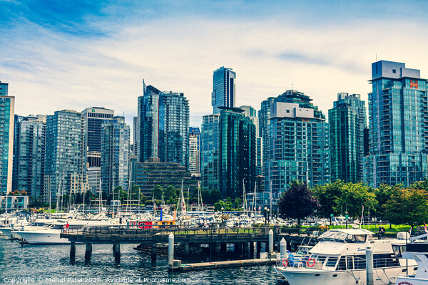 Coal Harbour - Vancouver, British Columbia, Canada Picture Board by Mehul Patel