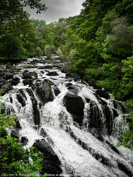 Swallow Falls (Rhaeadr Ewynnol), Betws-y-Coed,, Conwy, North Wales, UK Picture Board by Mehul Patel