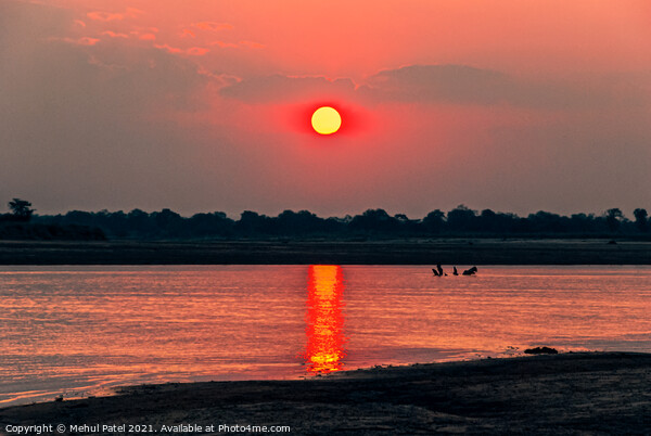 Sunsetting by river, Zambia, Africa Picture Board by Mehul Patel