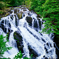 Buy canvas prints of A large waterfall in a forest - Swallow Falls, Wales by Mehul Patel