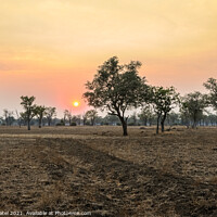 Buy canvas prints of Sunsetting upon African plain with dirt track by Mehul Patel
