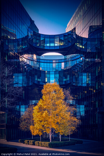 Bright tree leaves against modern office building exterior, London Bridge City, London, England, UK. Picture Board by Mehul Patel