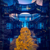 Buy canvas prints of Bright tree leaves against modern office building exterior, London Bridge City, London, England, UK. by Mehul Patel