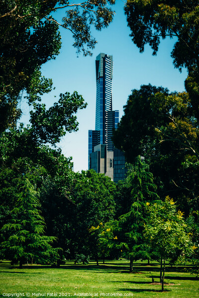 Eureka Tower seen from Kings Domain, a scenic park in the city of Melbourne, Victoria, Australia Picture Board by Mehul Patel
