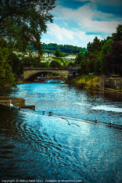 River Avon by Pulteney Weir in the city of Bath, Somerset, England, UK Picture Board by Mehul Patel