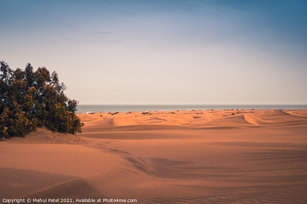 Dunas de Maspalomas (Sand dunes of Maspalomas), Gran Canaria Picture Board by Mehul Patel